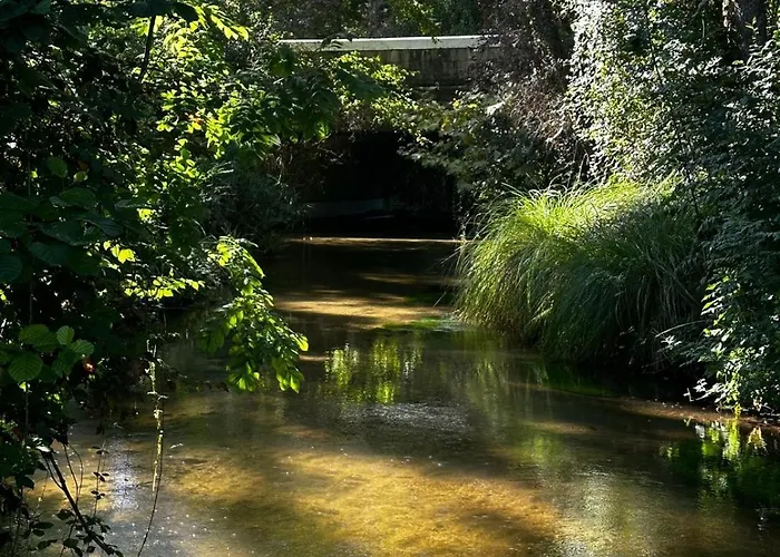 Maison Avec Riviere Dom wakacyjny Magescq